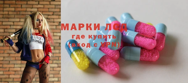 сатива Дмитровск