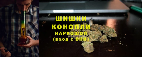 сатива Дмитровск