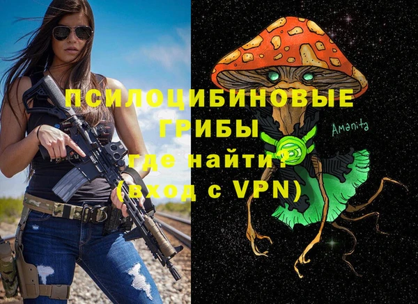 сатива Дмитровск