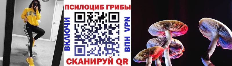 Галлюциногенные грибы мухоморы Купить Валуйки